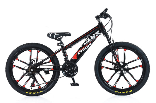 CYC-CYC24MTB21S-RD-O image 1